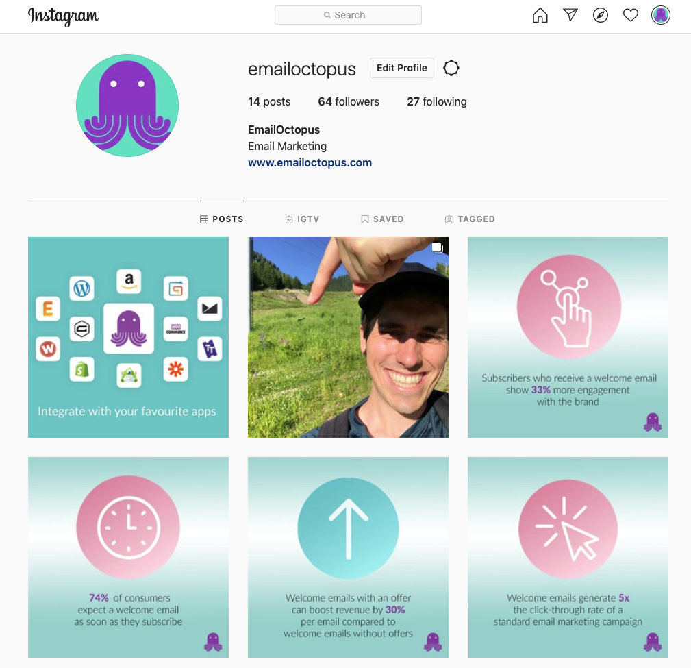 Screenshot of the EmailOctopus Instagram page, which our intern managed during her remote internship