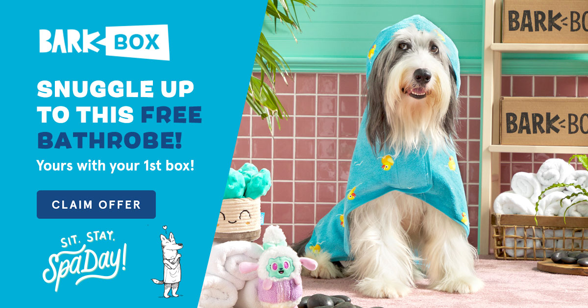 Example of humour used in email marketing from BarkBox