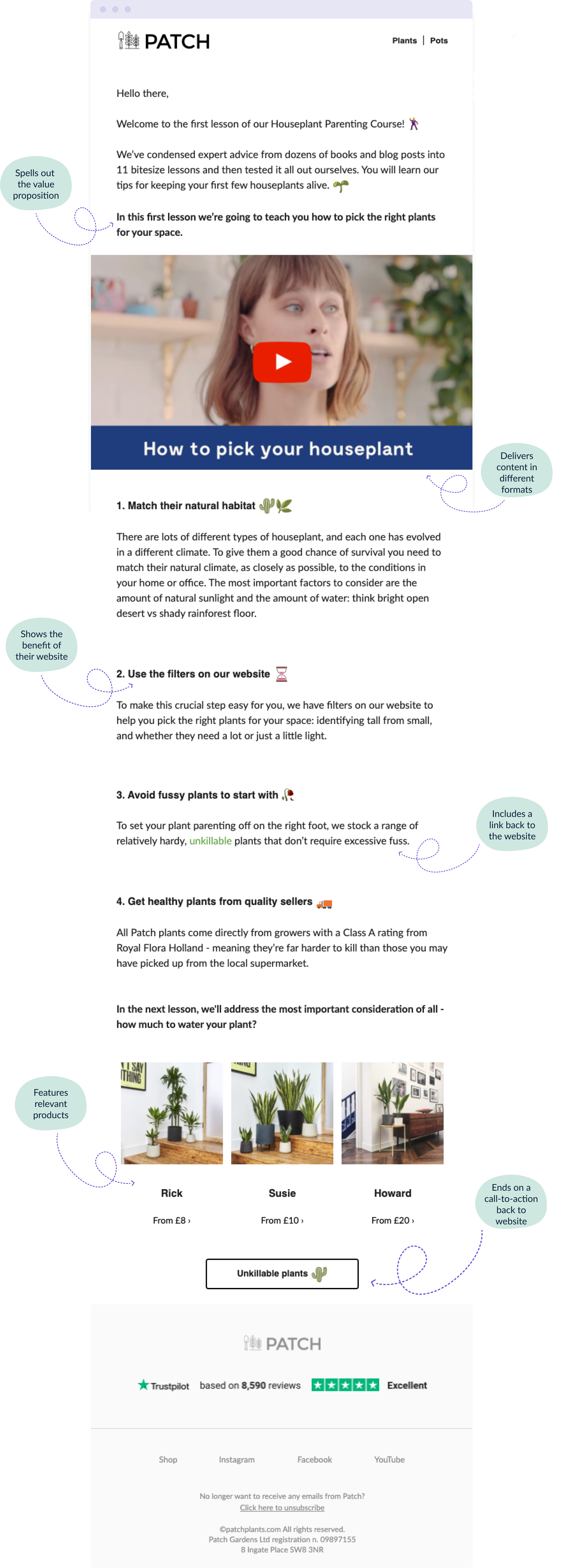 Example of an email from Patch Plant's Houseplant Parenting email course showing you how to tie back the content to your business goal