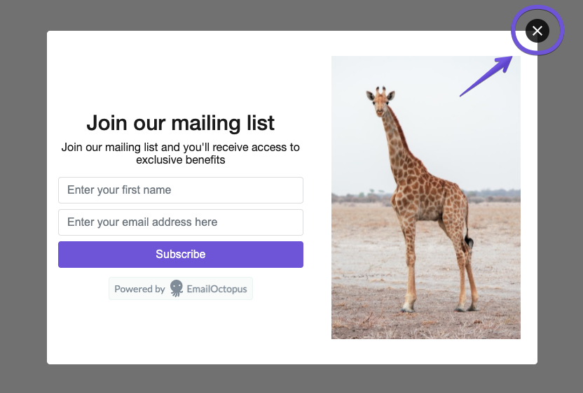 Image showing how distinct the exit buttons on EmailOctopus pop-up forms are to help with UX