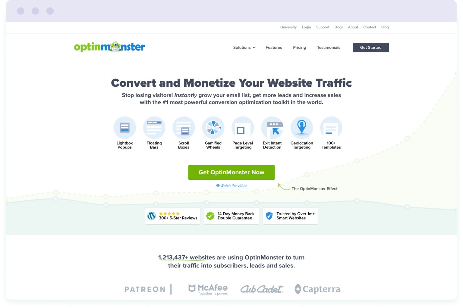 Image of the OptinMonster website homepage
