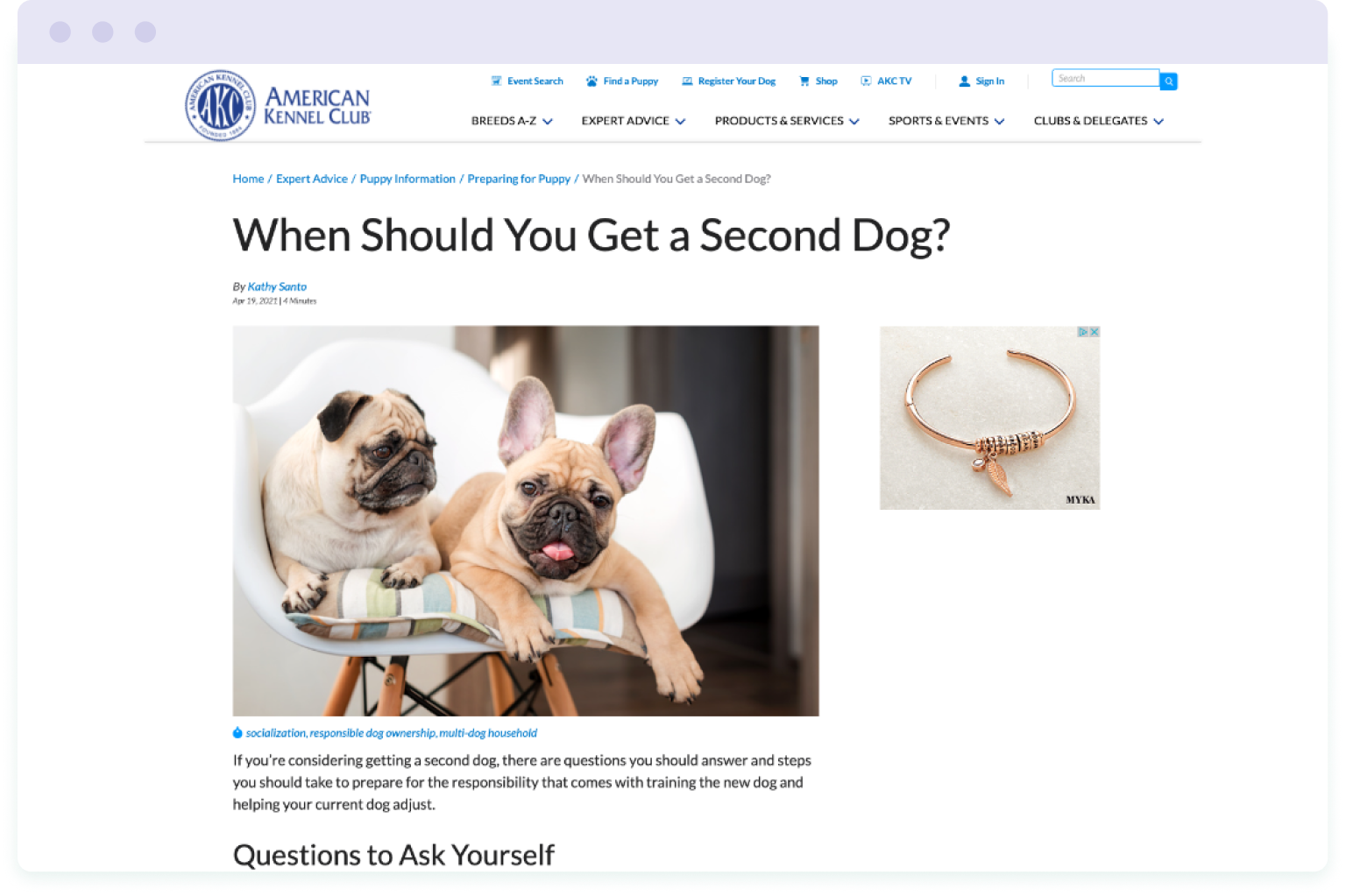 Screenshot of a page on the American Kennel Club website explaining when you should get a second dog