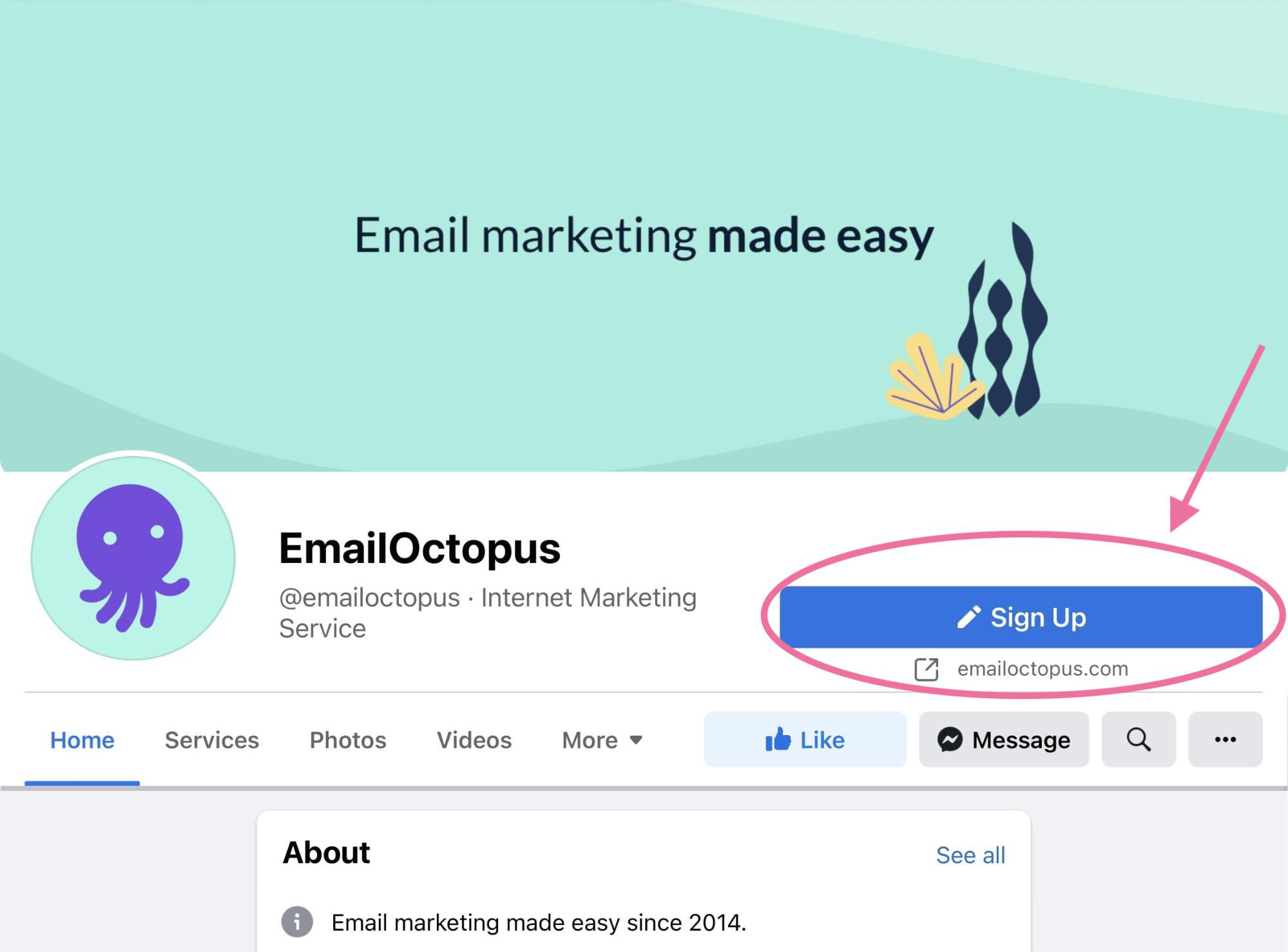 Example from EmailOctopus of a sign up CTA used on their Facebook page to grow an email list